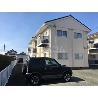 サンフラワーBの画像