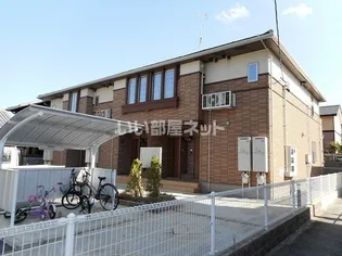 ナリッシュ ドゥの画像