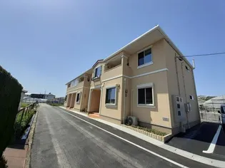 オレンジの画像