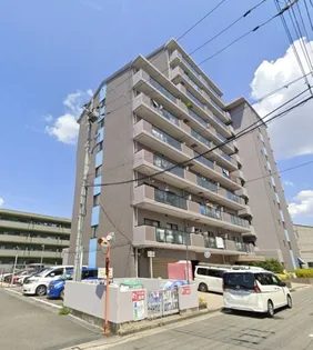 グレーシア大西の画像