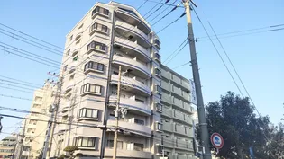 サンアミニティの画像