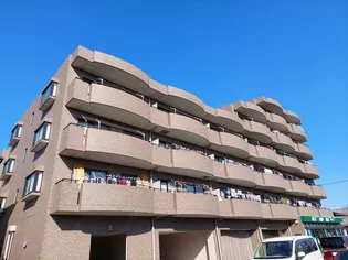 セレッソの画像