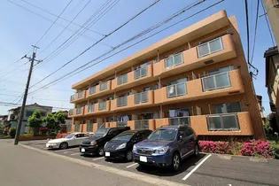 ブレインMの画像