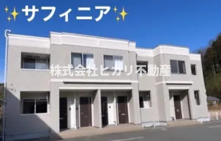 サフィニアの画像