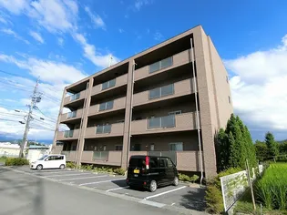 クワットールリーベリーの画像