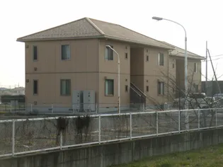 ピパ トールBの画像