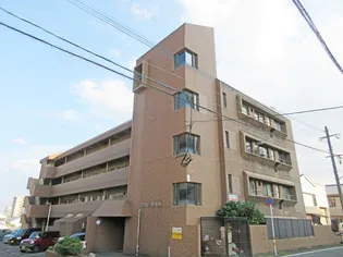 アリュール石垣の画像