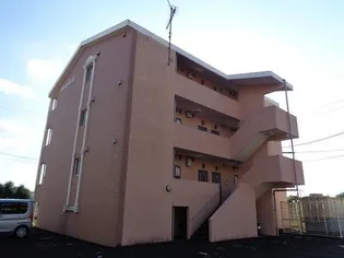 ベネフィスB棟【3階】の内装