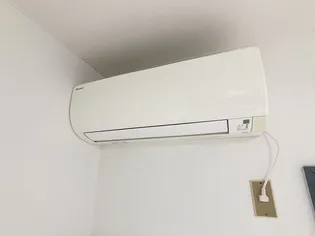 サンパレス只上【1階】の内装