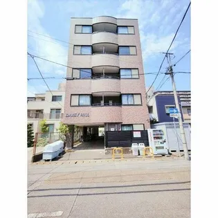 デイジーヒルの画像