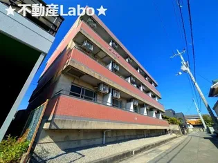 徳島県徳島市川内町榎瀬【マンション】の外観