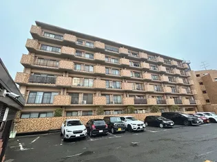 ライオンズプラザ台の原A棟の画像