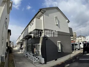 レオドリームBの画像