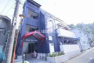 ハーベイカッツハイムの画像