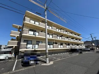 カサブランカ99の画像