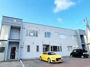 プルメリア花園の画像