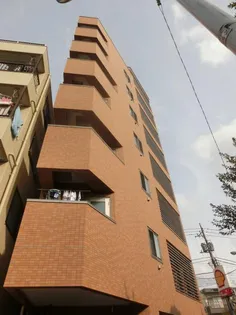 コスモポリタンの画像