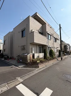 ガーデンケヤキの画像