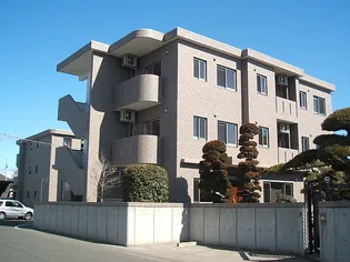 エバスマイルTの画像