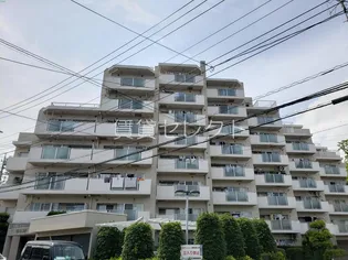 グリーンコーポ五香【8階】の外観