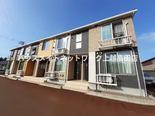 グリーン ローズAの画像