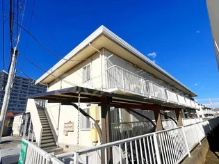 ヒルトップオオクマの画像