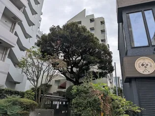 グランドメゾン戸山【6階】の外観