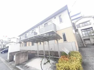 チェリーブロッサムの画像