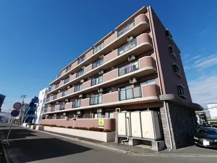 F シャルマンの画像