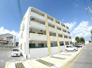 マトリカリアの画像
