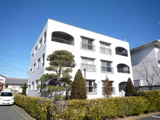 メゾン女鳥羽公園の画像