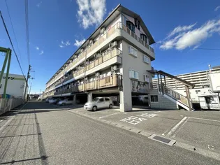 高知県高知市南御座【マンション】の外観