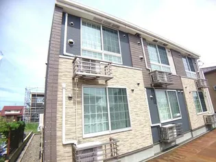 はなみずきの画像