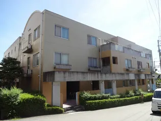 大阪府豊中市桜の町6【マンション】の外観