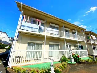 ブルーベリーの画像