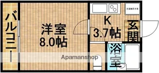 WingShallow【3階】の間取り