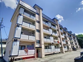 霞雅ビルBの画像