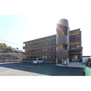 桜コートの画像