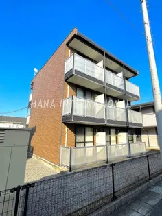 シティーDの画像