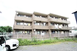 パールコートの画像