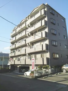 ドリーム パレスの画像