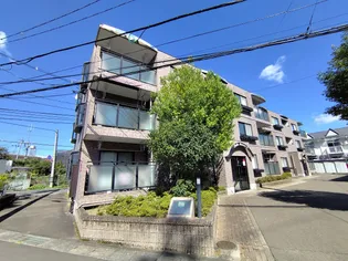 ベルドミールIIの画像