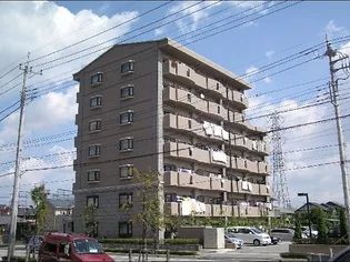 メゾンドエルの画像