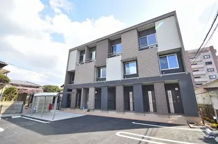 グリシーヌの画像