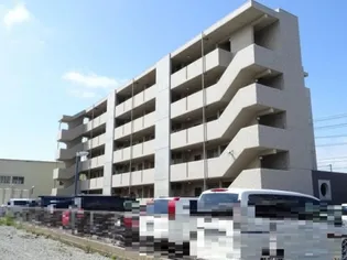 エーデルワイスの画像