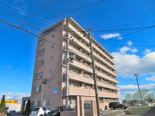 カルトセゾン鶴ヶ谷東【6階】の外観