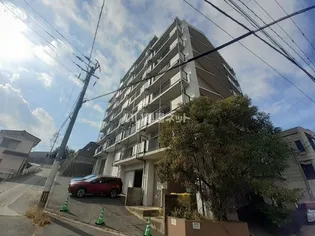 グレイシスの画像