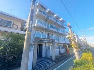 グレースランド ワラビの画像