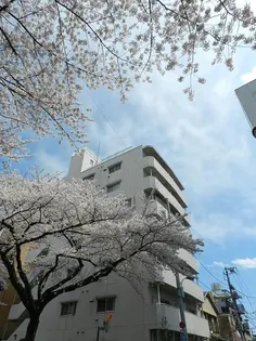 東京都文京区小石川4【マンション】の外観