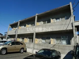 オークルMの画像